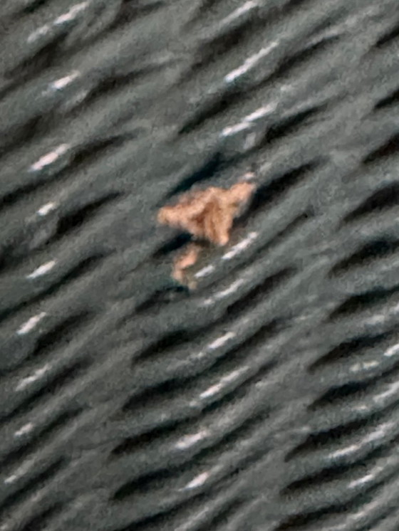 Image 1 of Ensemble de deux chaises Lloyd Loom - Vertes