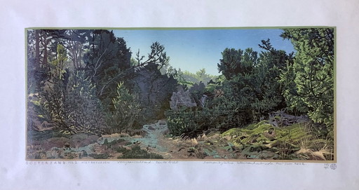 Estampe en couleurs de Siemens Dijkstra – lithos zeefdrukken, Wood (photo 2 of 14)