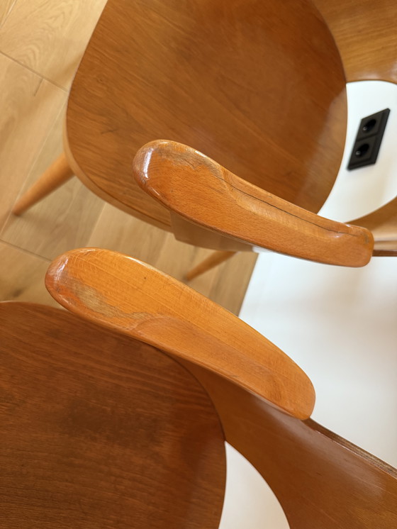 Image 1 of 2x Oswald Haerdtl, Modell 1515, Thonet, 50‘er Jahre, Mid Century