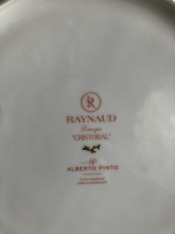 Image 1 of Raynaud's Plate, Pinto