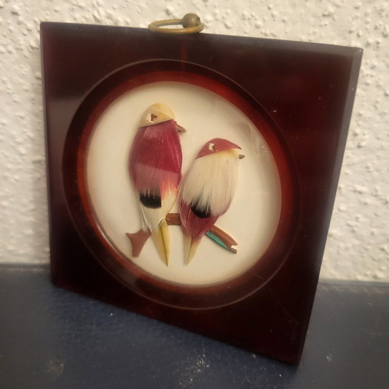 Image 1 of Cornice vintage in bachelite e veri uccelli piumati