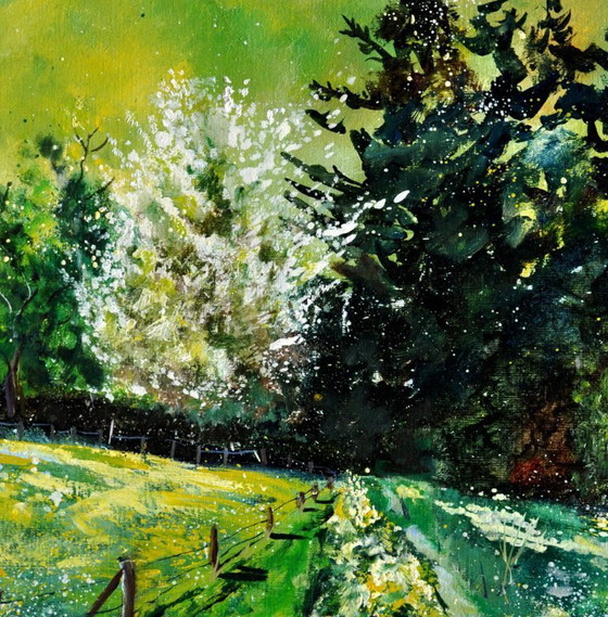 Image 1 of Spring path