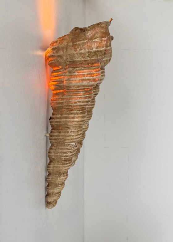 Image 1 of Coppia di applique da parete vintage a forma di conchiglia, in fibra di vetro beige, Francia 1960