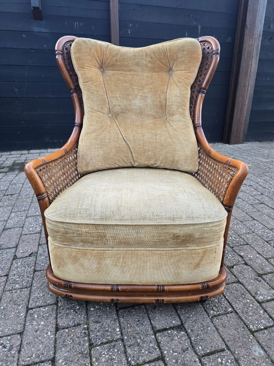 Giorgetti Wingchair – Poltrone, Rattan, Velluto (photo 4 of 7)
