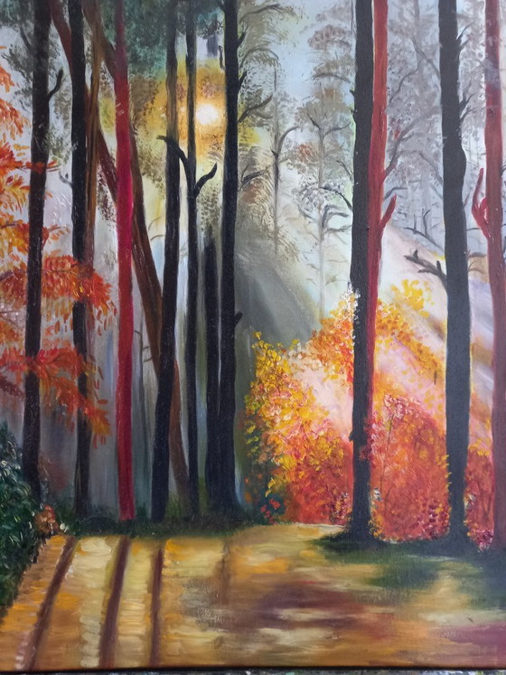 Image 1 of Forêt d'automne