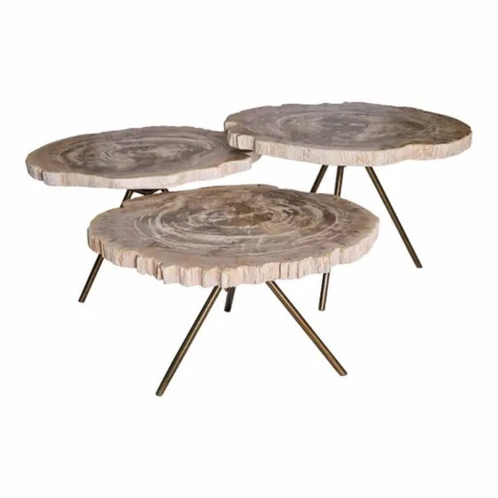 Image 1 of 3x Eichholtz Petrified Wood Tripod Coffee Tables
