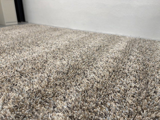 Brink en Campman Young Driftwood 61805 240x345 – Brink & Campman, Tapis, Laine (photo 7 of 7)