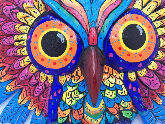 Image 1 of Magische Eule