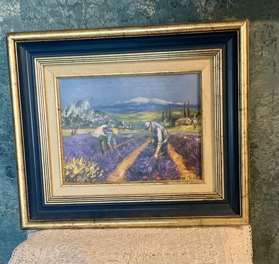 Provence - Lavender Harvest by Michel Christophe – Paintings & Drawings, Wood, Canvas (photo 2 of 14)