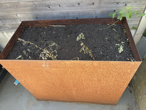 Image 1 of Jardinière et bac à déchets Kujp en acier Corten