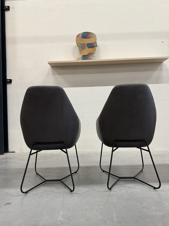 Image 1 of 4 Mostra modello Montis Lazy Vico sedie da pranzo in pelle