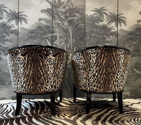 Image 1 of 2 fauteuils Tiger Club