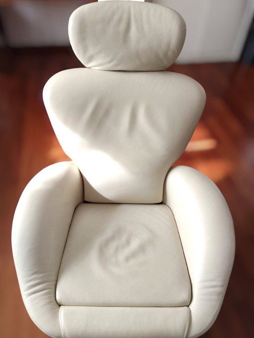 Coppia di poltrone Cassina K10 Dodo in pelle