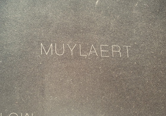 Muylaert Fauteuil, Cuir, Marron (photo 9 sur 9)