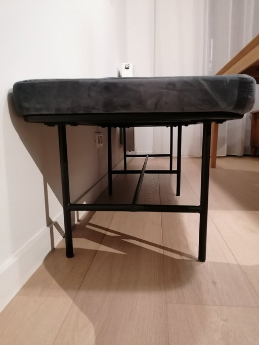 Dottore della Banc House