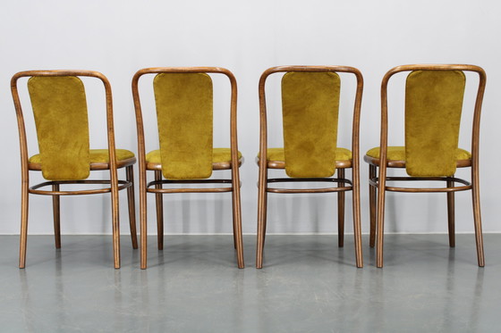 Image 1 of Juego de cuatro sillas de comedor de madera curvada de haya restauradas de la década de 1970, de TON, Checoslovaquia
