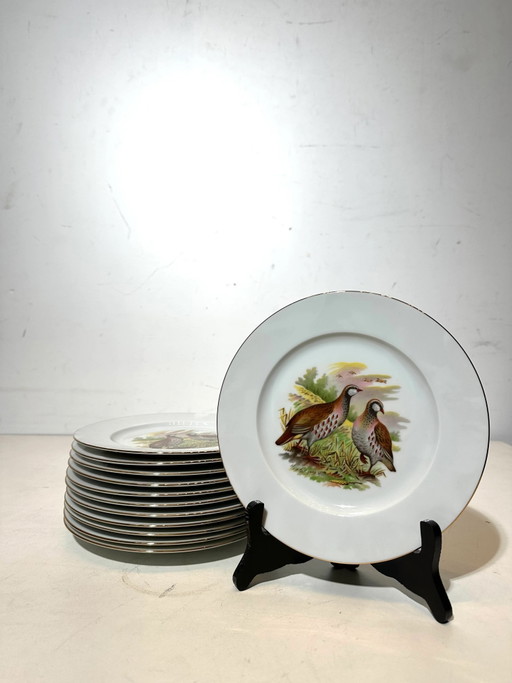Juego de 12 platos Limoges Wild – Decorados a mano – Ø 21,5 cm – servies (photo 2 of 3)