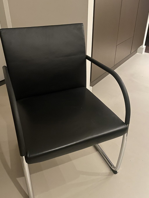 6 sedie Walter Knoll