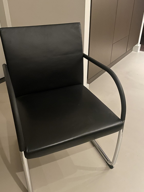 Image 1 of 6 sedie Walter Knoll