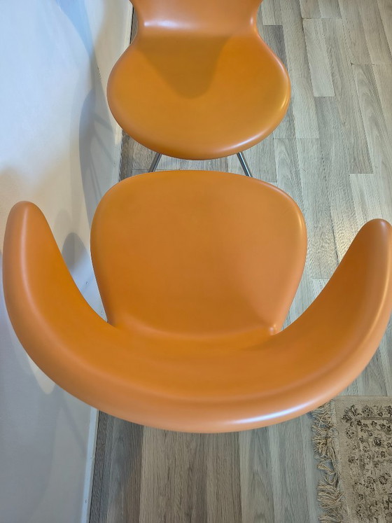 Image 1 of 6 sedie di design italiane Tonon Concept 902🟠