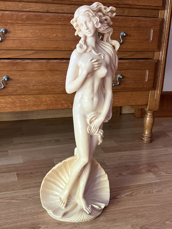 Image 1 of Hermosa escultura de gran tamaño "El nacimiento de Venus" - A. Santini (Italia) – 58 cm
