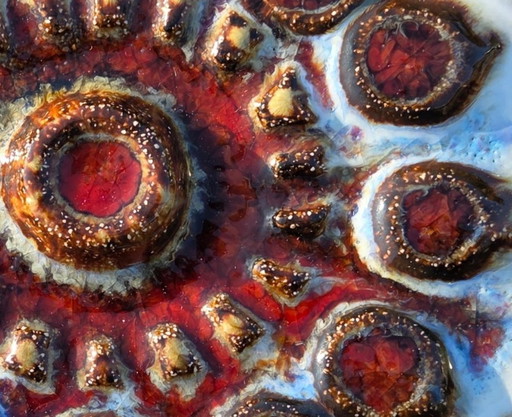 Placa de pared de cerámica Noomi Backhausen Søholm