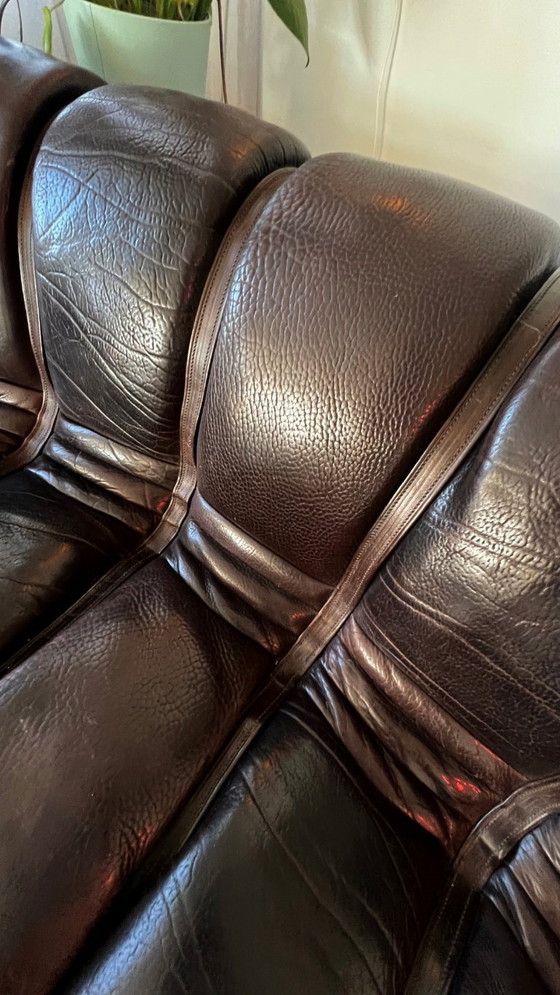 Image 1 of Sofá modular de Sede DS-600 “Snake” / “Tatzelwurm”, cuero marrón oscuro, 12 elementos,