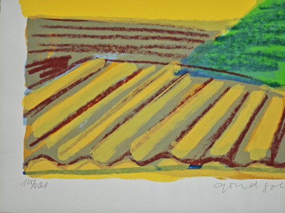 Image 1 of Ingelijste zeefdruk Willem Brauck (1946-2014) "Goud Golvend" 2000 51x71cm