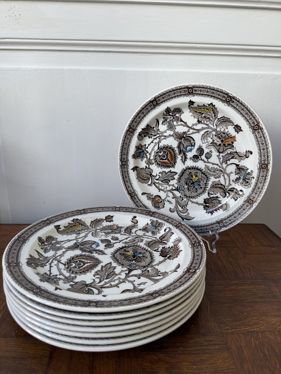 Image 1 of Assiettes Ridgway Jacobean