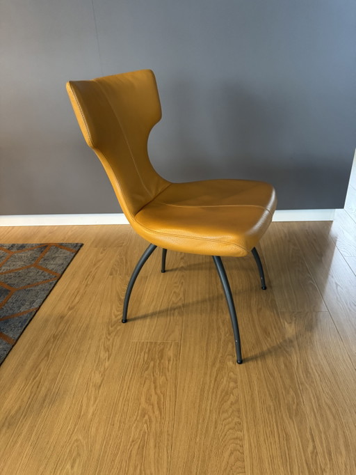 Leolux 6 Eetkamer Stoelen – eetkamerstoelen, Leather, Metal (photo 2 of 6)