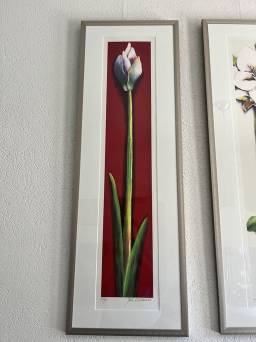 3 opere firmate Amaryllis di Juul Kortkaas – 71/90 – Incorniciate – lithos zeefdrukken, Paper (photo 2 of 7)