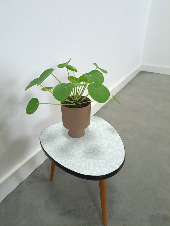 Image 1 of Mesa auxiliar para plantas con tablero de fórmica azul claro blanco, n.º 30