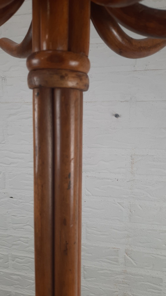 Image 1 of Appendiabiti da terra Thonet