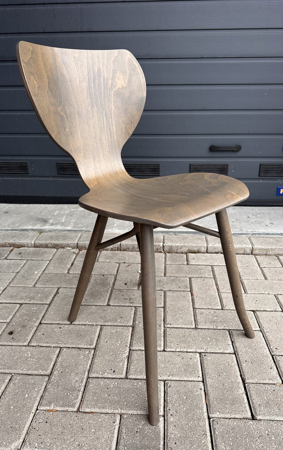 Image 1 of 2x chaises design Linteloo Tulipani