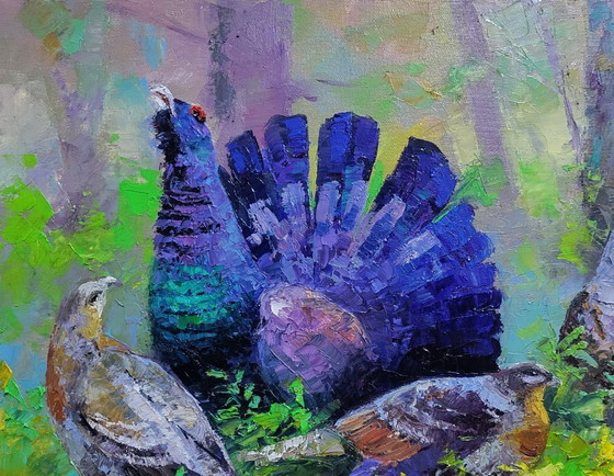 Image 1 of Black grouse in the summer forest