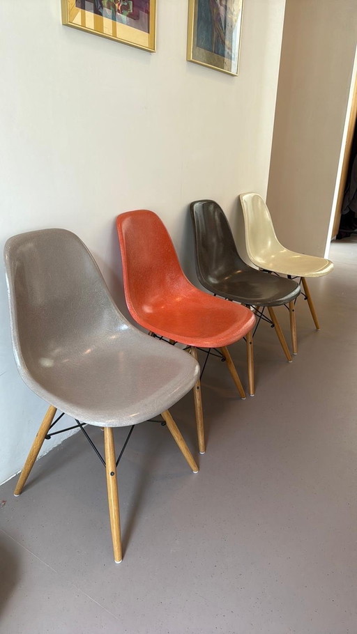 Vitra Eames glassfiber chairs