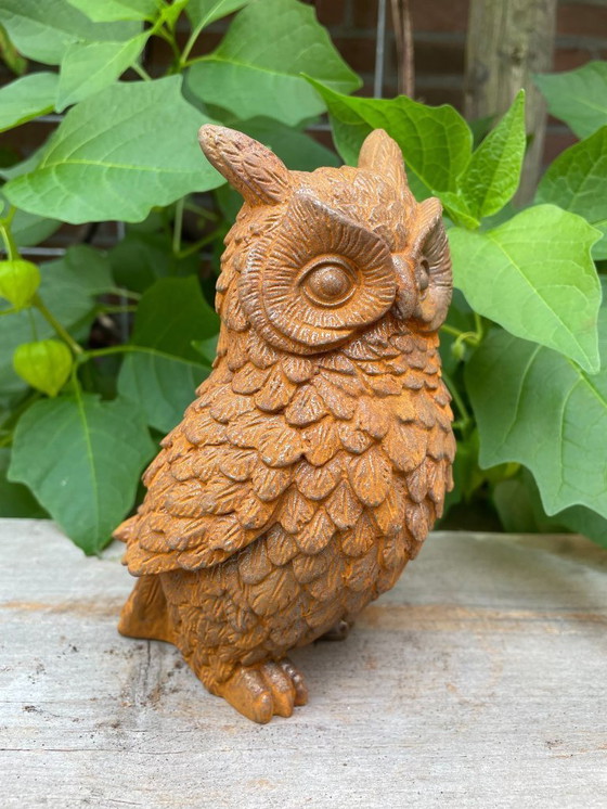 Image 1 of Elegante gusseiserne Eule mit natürlicher Rostpatina
