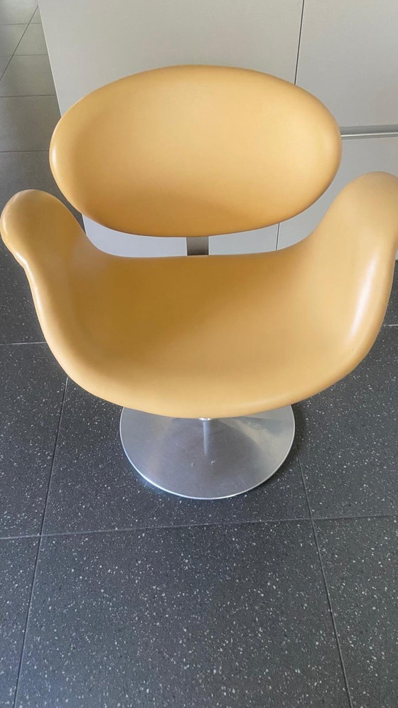 Image 1 of Fauteuil tulipe en cuir Artifort