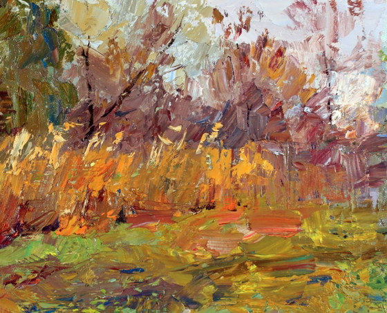 Original Oil Painting Nature Landscape Meadow Autumn Sedge, Paintings & Drawings, Canvas, Orange (photo 6 of 8)