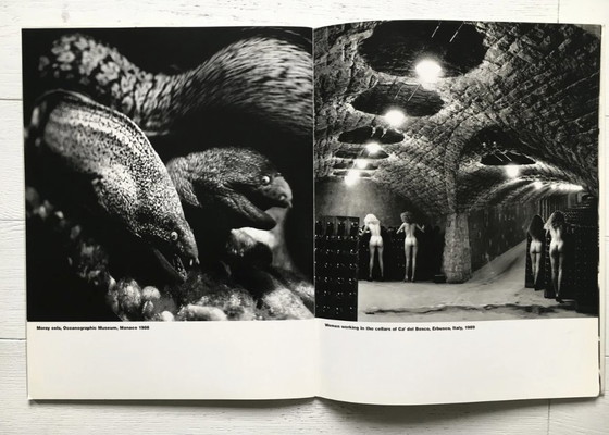 Image 1 of Helmut Newton's Illustrated No. 3, Autographed