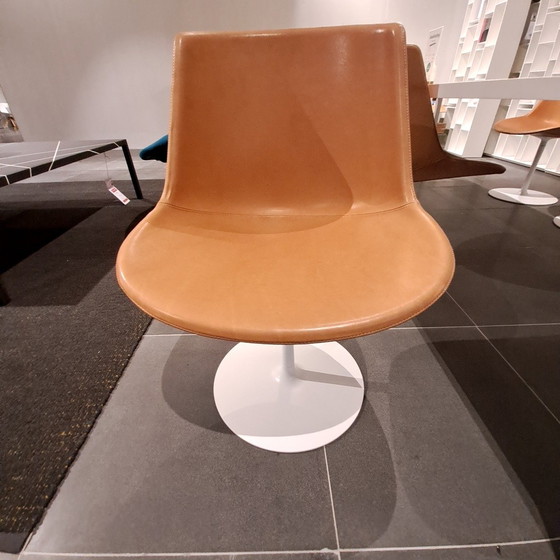 Image 1 of MDF Italia Flow Chair dining chair (set of 4)