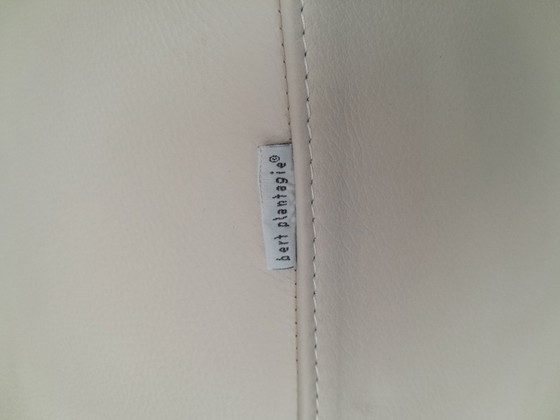 Image 1 of Plantagie Leer wit 6 stuks