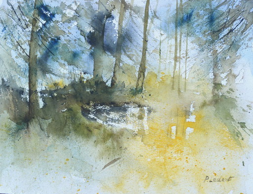 Light  in the wood 
