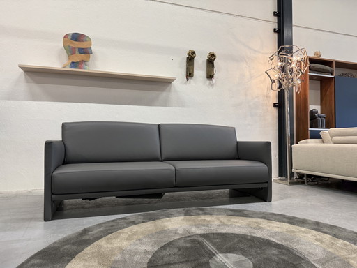 Rolf Benz Cara Sofa 220 Grau Leder Verstellbar