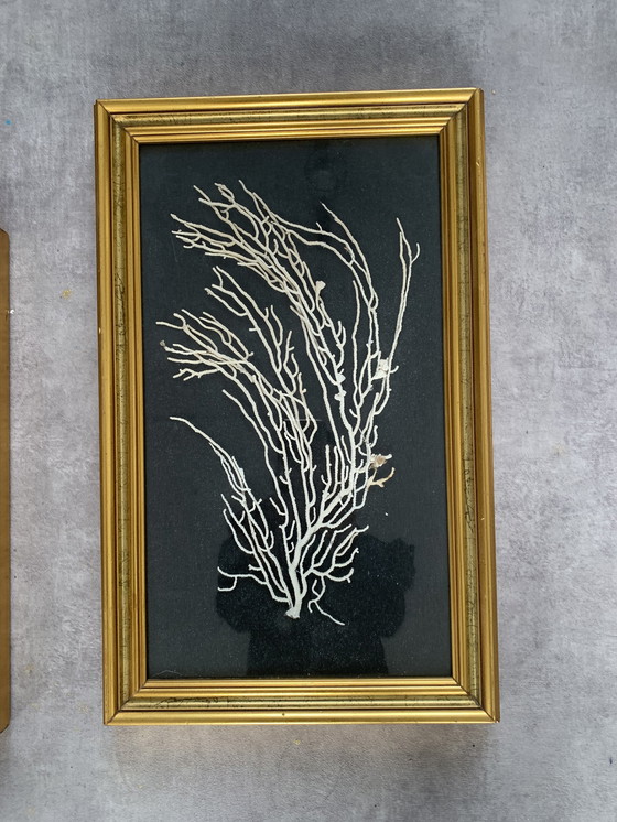 Image 1 of Cadres décoratifs anciens dorés (avant 1975)