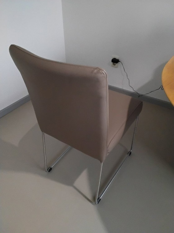 Image 1 of 4 sedie da pranzo Punto. Rivestimento Toledo in pelle e base in acciaio inossidabile.