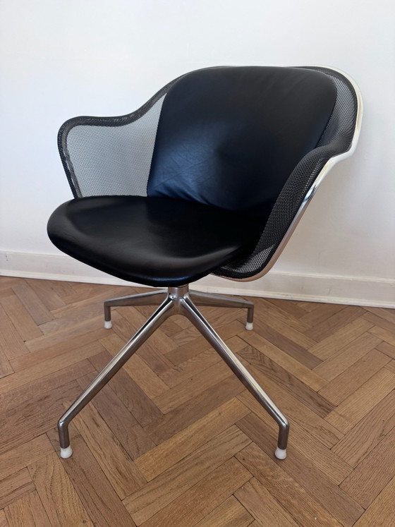 6x sedia IUTA di BB Italia – B&B Italia, Sedie da pranzo, Pelle, Metallo (photo 6 of 7)