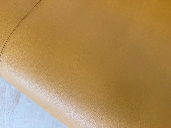 Leolux Tango Divano in Pelle Design Classico – Divani, Metallo (photo 13 of 17)