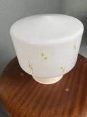 Lampada da soffitto vintage in vetro satinato con stampa retrò