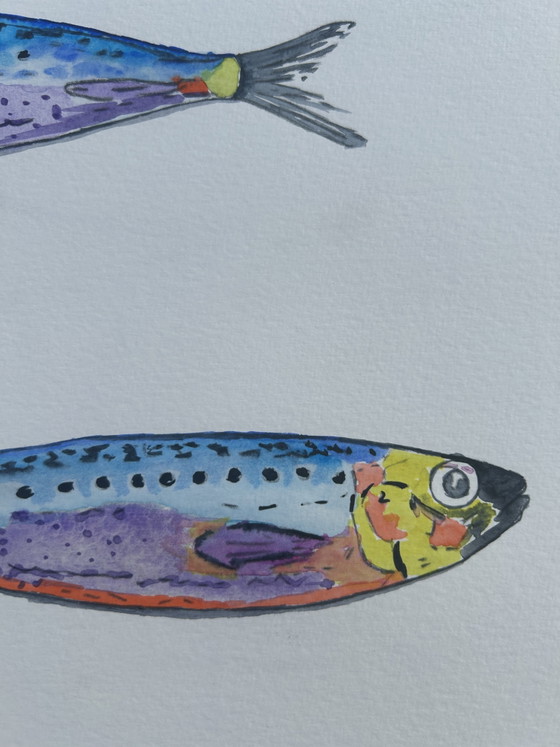 Acquerello Sardine – canson, Decorazioni murali, Paper (photo 4 of 8)